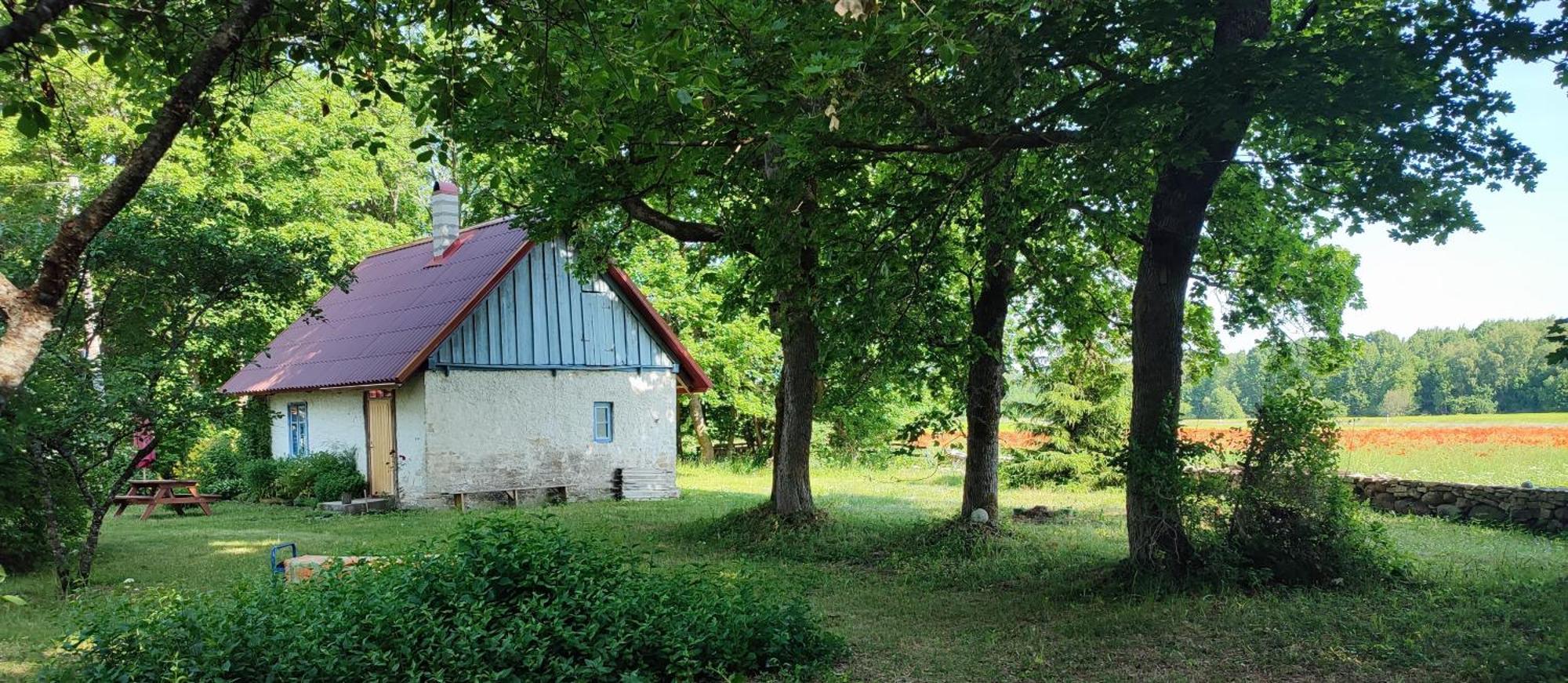 Viini Puhkemaja Guest House Mustjala Bagian luar foto